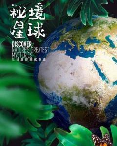 《我们的翻译官》演员演技:宋茜木讷,陈星旭高级,费启鸣浮夸