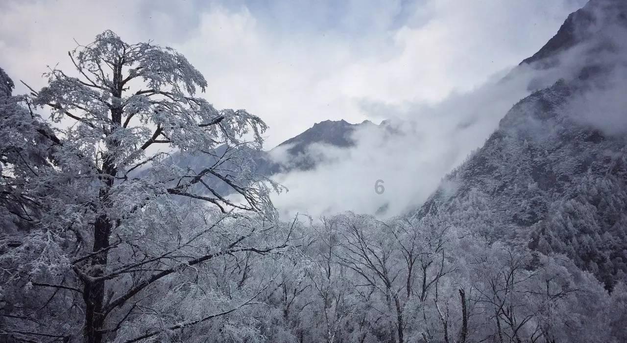 淘气兔救援